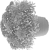 Chrysanthemum%20x%20morifolium%20Ramat.%20%27Plum%20Crazy%27