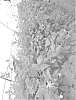 Rubus%20idaeus%20%27Pacific%20Majesty%27
