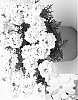 Verbena%20x%20hybrida%20%27VEAZ0008%27