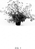Chrysanthemum%20x%20morifolium%20%27Purple%20Mist%27