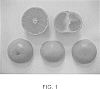 Citrus%20reticulata%20%27KinnowLS%27