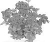 Pelargonium%20peltatum%20%27Duebelvidar%27