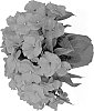 Impatiens%20hawkeri%20%27Duemagfi%27