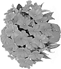 Impatiens%20hawkeri%20%27Duemagbu%27