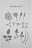 Rosa%20hybrida%20%27KORpot020%27