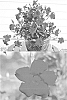 Mandevilla%20x%20amabilis%20%27Sunparacore%27