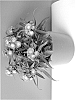 Aster%20novi-belgii%20%27BKATRRV%27