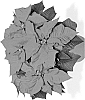 Euphorbia%20pulcherrima%20Willd.%20%27Dueencore%27