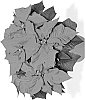 Euphorbia%20pulcherrima%20Willd.%20%27Dueencore%27