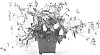 Campanula%20plant%20named%20%27PKMTAK2%27