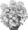 plant%20named%20%27Teshope%27