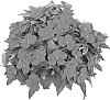ARRAY%280x2e3b008%29