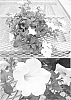 plant%20named%20%27Sunsurfsirou%27