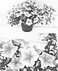 plant%20named%20%27Sunsurf%20Kiusa%27