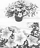 plant%20named%20%27Sunsurf%20Kiusa%27