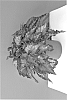 plant%20named%20%27KRBELIN02%27