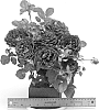 Grandiflora%20rose%20plant%20named%20%27WEKebtidere%27