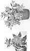 plant%20named%20%27GOM070101%27