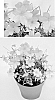 plant%20named%20%2709TAG1002%27