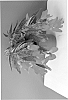 plant%20named%20%27BKPBEWFER%27