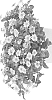 plant%20named%20%27Duesantogo%27