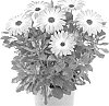plant%20named%20%27Fidostsuppibic%27