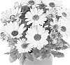 plant%20named%20%27Fidostyelimp%27