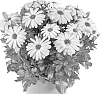 plant%20named%20%27Fidostsuplil%27