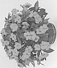 plant%20named%20%27DHAR318%27
