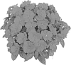 ARRAY%280x1c9f4a8%29