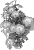 plant%20named%20%27Fipetfanangel%27