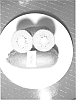 Actinidia%20deliciosa%20%27Merle%27