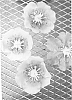 Actinidia%20chinensis%20%27X264%27
