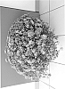 Chrysanthemum%20x%20morifolium%20%27Salomon%20Surfer%27