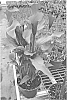 Zantedeschia%20sprengeri%20%27CAPTAIN%20ODEON%27