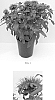 Monarda%20didyma%20%27Balbalmurp%27