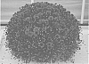 Chrysanthemum%20plant%20named%20%27Zanmupizza%27