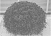 Chrysanthemum%20plant%20named%20%27Zanmupizza%27