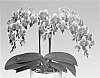 Phalaenopsis%20%27PHALDOMEO%27