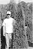 Thuja%20occidentalis%20%27SMTOBP%27