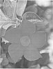 Mandevilla%20lindl%20plant%20named%20%22SGRed8%22