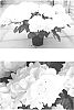 Hydrangea%20macrophylla%20%27H213902%27