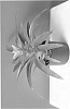 Guzmania%20hybrida%20%27Flava%27