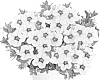 Calibrachoa%20sp.%20%27Duealtily%27
