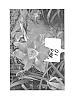 Hemerocallis%20hybrid%20%27R10%27