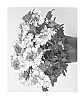 Verbena%20hybrida%20%27Duewicpur%27