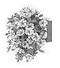 Calibrachoa%20sp.%20%27Duevolsus%27