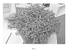 Hypericum%20calycinum%20%27CROWTHYP%27