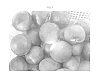 Prunus%20persica%20%27Andes%20Nec-1%27