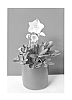 Helleborus%20niger%20%27COSEH%203020%27
